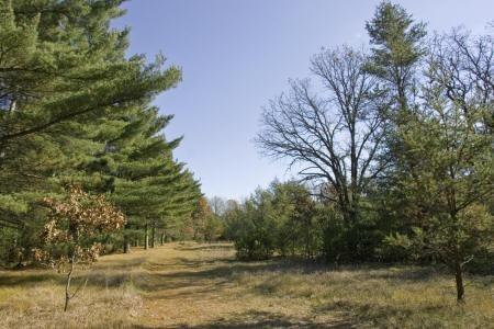 wisconsin land for sale