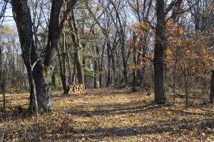 Acreage for Sale central wi