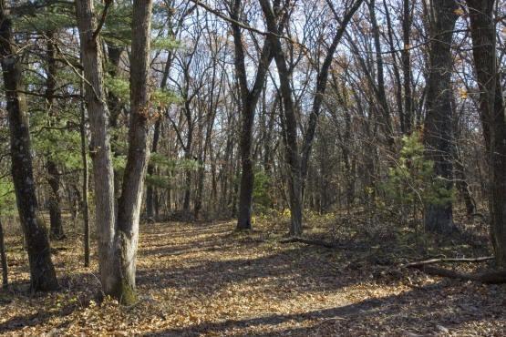 central wisconsin land for sale