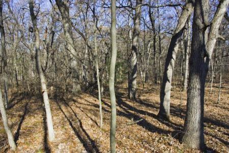 acreage on a small town road