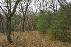 seclusion land in wisconsin
