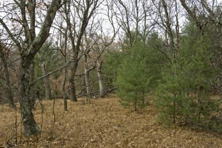 secluded land for sale wi
