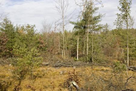 central wisconsin real estate for sale