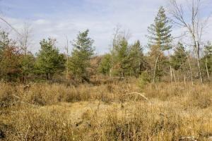 Almost 6 Acres For Sale In Central Wisconsin