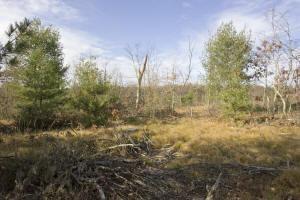 property for sale wi