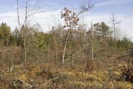 wisconsin land for sale