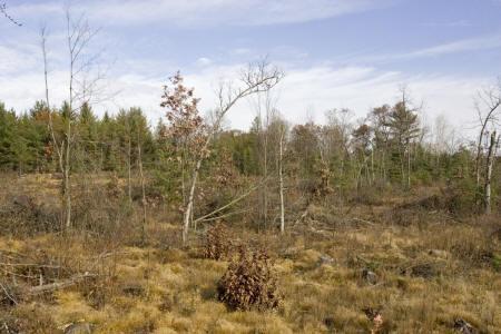 close to Lake Petenwell