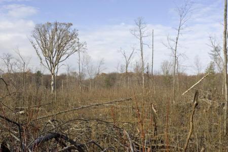 camp or build in adams county central wisconsin