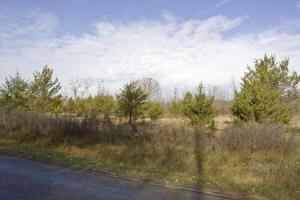 Central Wisconsin Cabin Site For Sale