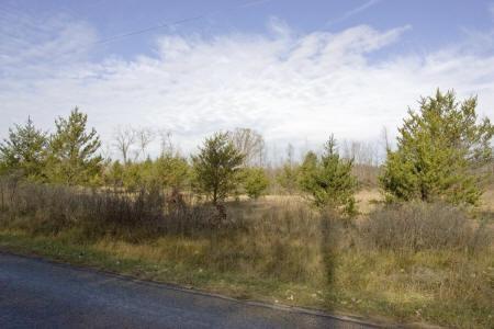 prime location wooded property
