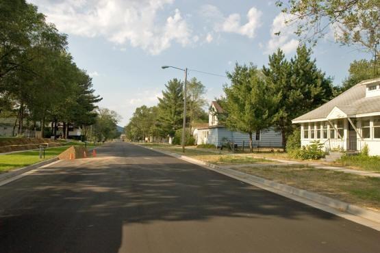 mature trees