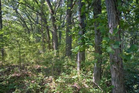 private lot