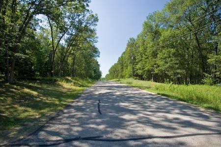 wooded lot with road frontage