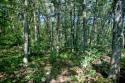 lot for sale wi