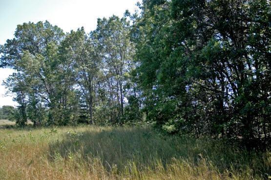 adams county lot with outbuildings