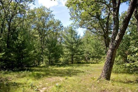 fully wooded with rolling terrain