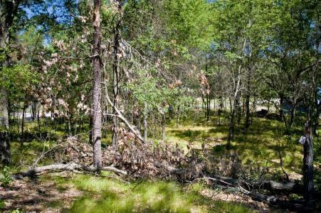 deeded access to lake camelot