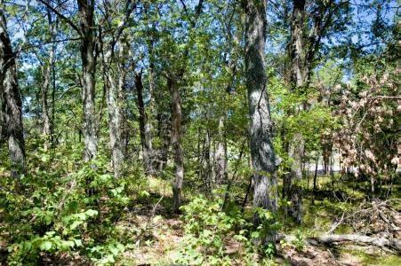 deeded access to lake sherwood