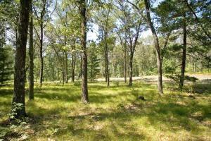 deeded access