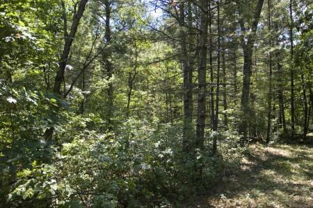 Central Wisconsin property for sale