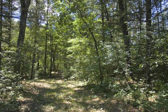 Hike to Castle Rock Lake through Public Land