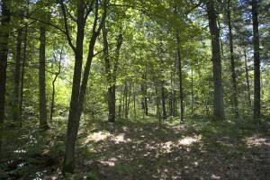 crystal brook woods wildlife nature conservancy, wi