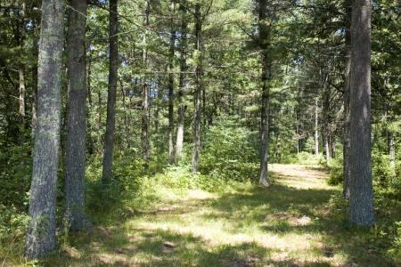nature conservancy with hiking trails