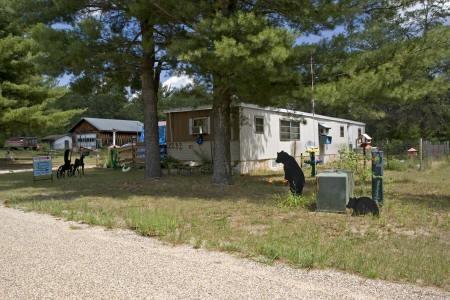 Adams County, friendship WI. 53934
