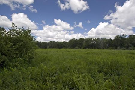 Central Wisconsin home for sale