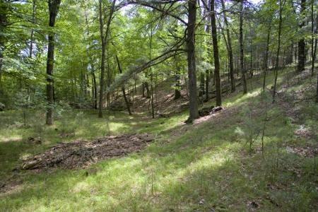 property with rolling terrain