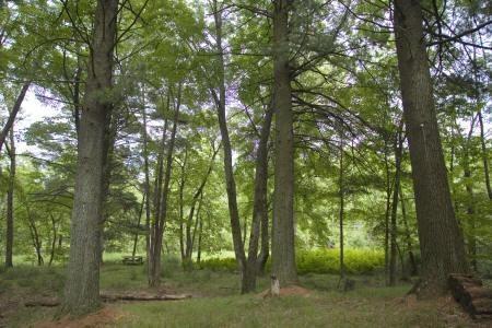 waterfront for sale in Adams County
