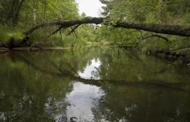 big Roche-A-Cri Creek