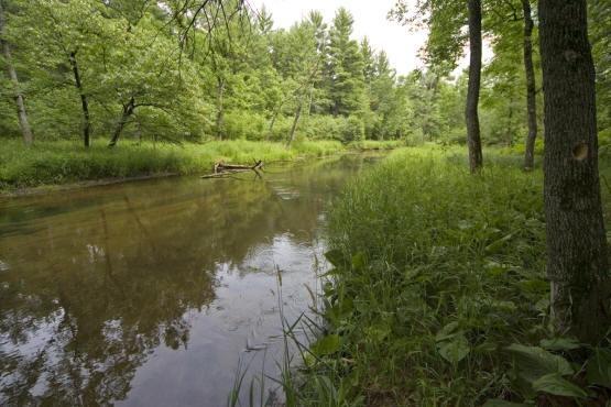 big Roche-A-Cri Creek