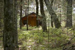 cabin for sale on big Roche-A-Cri Creek