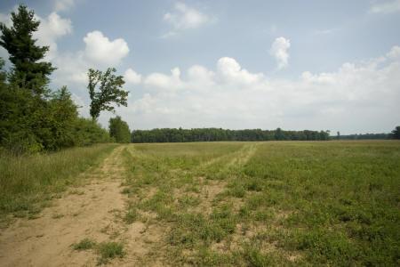 acreage for sale by friendship mound