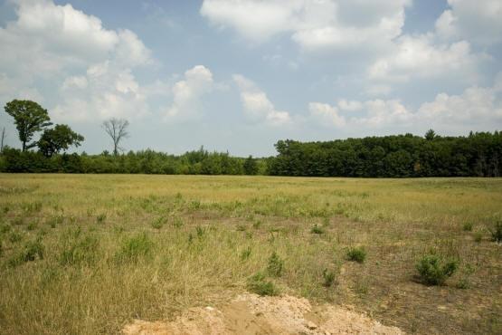 central wisconsin land for sale