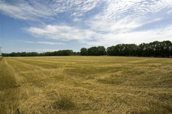 Acreage For Sale in Adams County Wisconsin