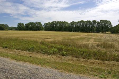 property for sale near Castle Rock Lake