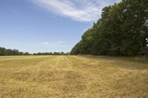 Central  Wisconsin real estate for sale