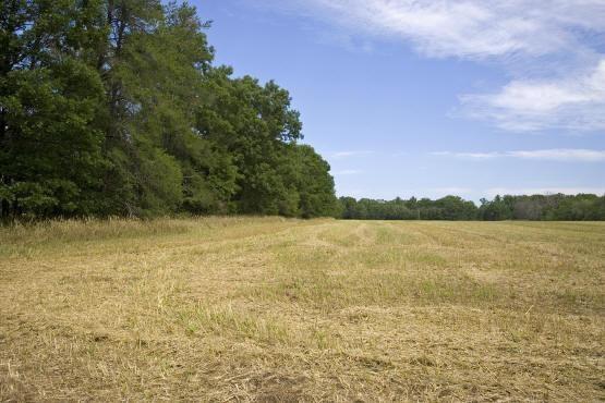 field property for sale
