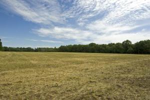 become a Central  Wisconsin land owner
