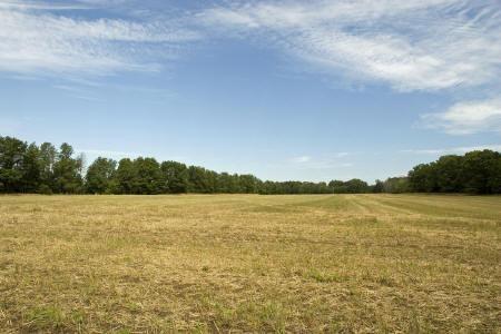 land for sale just north Wisconsin Dells