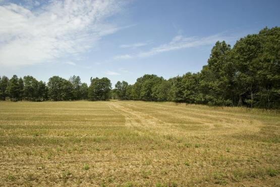 Acreage For Sale in Adams County Wisconsin