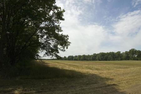 property in Eastern Township of Adams County