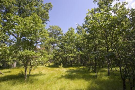 Property For Sale in the Wisconsin Dells Area
