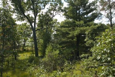 land for sale in Adams County Wisconsin