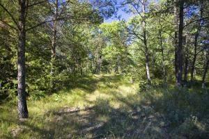 wooded lot for sale with dock space on Castle Rock Lake, WI.