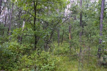 central wisconsin land for sale