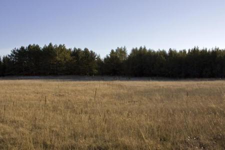 build that getaway cabin or dream home
