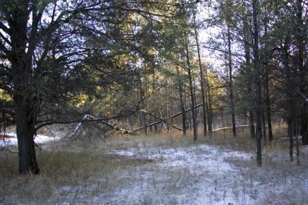 adams county land for sale near colburn wildlife area